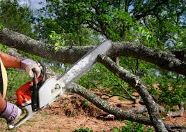 Best Storm Damage Tree Cleanup  in Brackenridge, PA